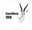 gasellene-2018-1