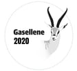 gasellene-2020