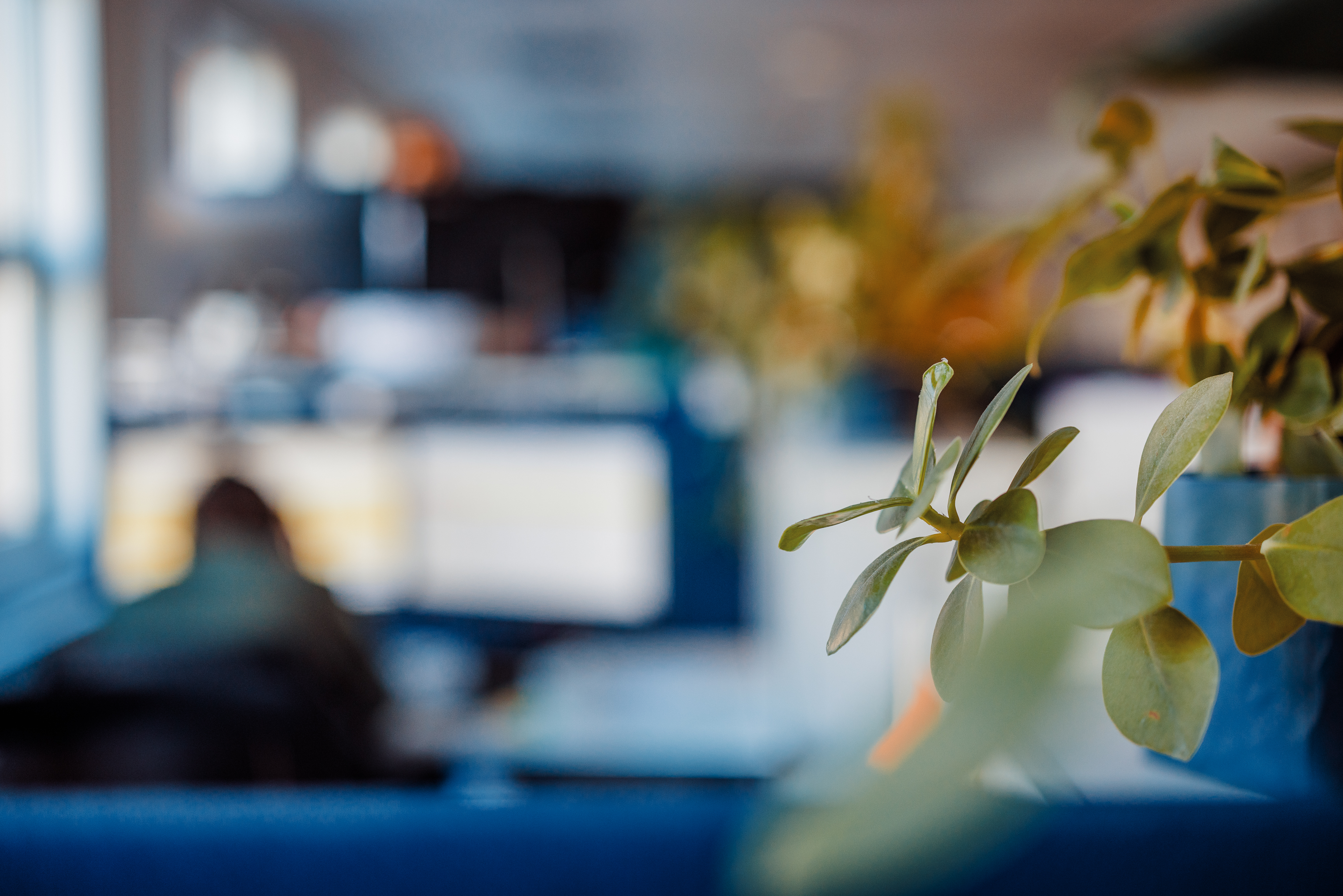 Iver rekrutterte fra Innovation Support da han skulle bygge salgsavdelingen